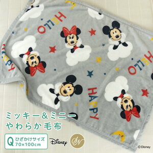 �Ђ��|���ѕz �ѕz �f�B�Y�j�[ �~�b�L�[ �~�j�[ �������� �u�����P�b�g �x�r�[�P�b�g �X���[�P�b�g �Ђ����� �q���p�ѕz �����Q�P�b�g ���a���� 70×100cm ������ �􂦂� �x�r�[ �L�b�Y �Ԃ���