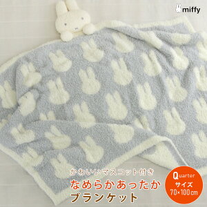 ~btB[ Ђ|ѕz ѕz }XRbgt 70×100cm ӂӂ  uPbg xr[Pbg X[Pbg Ђ qpѕz QPbg NH[^[Pbg jbg  