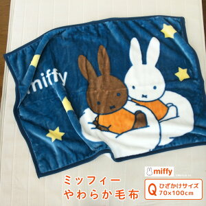 Ђ|ѕz ѕz ~btB[ j[ ѕz xr[Pbg X[Pbg Ђ qpѕz QPbg uPbg 70×100cm   􂦂 xr[ LbY Ԃ 