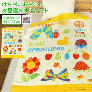 QPbg ͂؂ނ 85×115cm ^IPbg 100 uPbg Ђ˃Pbg Q^IPbg xr[Pbg ^I rbN^I 唻oX^I W[ LbY Wj