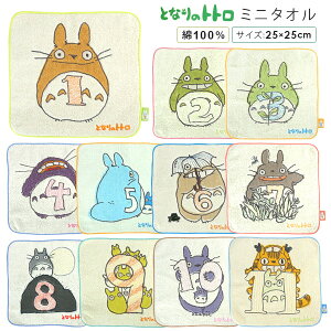 Wu ƂȂ̃gg ~j^I nJ` nh^I 25×25cm EHbV^I ^I 100 蕨 ^IMtg LOi oYj k i` gg gg gg lR