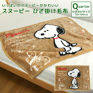 ブランケット スヌーピー ベビー用布団 毛布の人気商品 通販 価格比較 価格 Com
