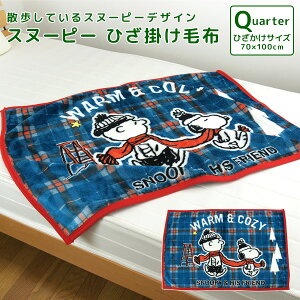 ブランケット スヌーピー ベビー用布団 毛布の人気商品 通販 価格比較 価格 Com