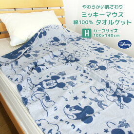 楽天市場 ディズニー ブランケット インテリア 寝具 収納 の通販 楽天市場 ディズニー ブランケット インテリア 寝具 収納 の通販