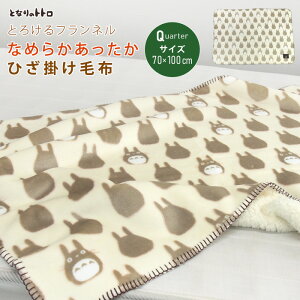 ƂȂ̃gg Ђ|ѕz ѕz 70×100cm 2킹ѕz Ƃ낯 uPbg xr[Pbg X[Pbg Ђ qpѕz QPbg NH[^[Pbg   tl