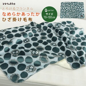 ƂȂ̃gg Ђ|ѕz ѕz 70×100cm 2킹ѕz Ƃ낯 uPbg xr[Pbg X[Pbg Ђ qpѕz QPbg NH[^[Pbg   tl