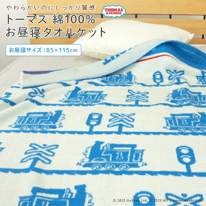 QPbg ^IPbg 񂵂g[}X 85×115cm 100 uPbg Ċ| | Ђ˃Pbg xr[Pbg ^I rbN^I 唻oX^I W[ LbY WjA q