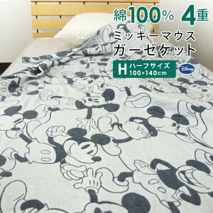 K[[Pbg n[tPbg fBYj[ ~bL[ n[tTCY 100×140cm 100 4dK[[ WjAPbg Ċ| |  z ʋC 􂦂 ^IPbg Q zc |zc JWA