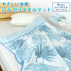 毛布 緑の人気商品 通販 価格比較 価格 Com