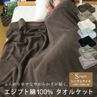 【6/15限定最大100%ポイントバック★要エントリ】 タオルケット シングル エジプト綿100％ 140×200cm コ…