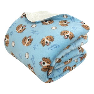 �ѕz 2�����킹�ѕz �V���O�� ���ʕ� 2�����킹 ���킹�ѕz �Ƃ낯�� �u�����P�b�g ������ ���������ѕz �t�����l�� �V�[�v�{�A �}�C���[�ѕz �􂦂� �k�� �C�k �� ������ �V���O���T�C�Y��