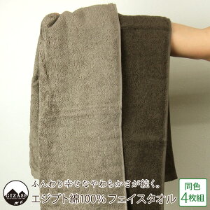 GWvg100 tFCX^I 4g 35×85cm Rbg 100 ӂ щHɂ ւɂ ^[o^I X|[c^I fC[^I ^I z MU n 蕨 M