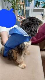 犬用レインコート 大型犬 防水 反射材 ポンチョ フード付き ドッグウェア 中型犬 小型犬 雨具 カッパ レインウェア ペット用品 お散歩 グッズ 防風 耐久性 着脱簡単 フルカバー 反射テープ 夜道 散歩用