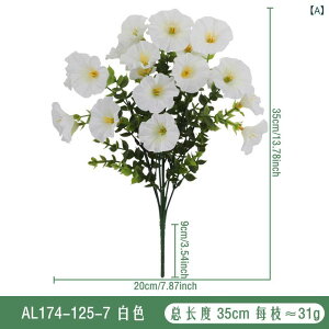 ���� �A�T�K�I �C���e���A �t�F�C�N�t�����[ �鐫 ���A�� �͂�ɂ��� �����s�v ���� ���O �� ���� �x�����_ �K�[�f�� �A�����W�����g ��� ���� ���| ������ �B�e�p �w�i �X�� ���� �I�u
