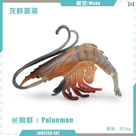 フィギュア リアル エビ 模型 ザリガニ 水生生物 生き物 おもちゃ 玩具 知育玩具 標本 景品 装飾 飾り物 インテリア 置物 シュリンプ 川エビ 海の生き物 撮影小道具 教育 小学生 子供 誕生日 プレゼント 贈り物 観賞用 アニマル