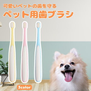 yybg̎vzyS̍i݌vzybgpuV ^ ^ Lp f^PA uV 3FZbg sN u[ CG[ fUC ɃtBbg鎝