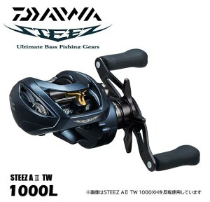 _C/DAIWA XeB[Y A2 TW 1000L (STEEZ AII TW) 2022y12f (nh)