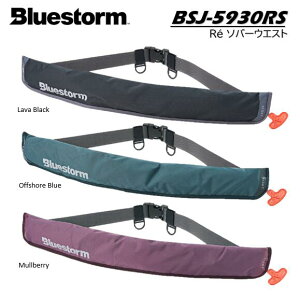 BLUESTORM@BSJ-5930RS Re \o[EGXg c CtWPbg  (yʏȌ^FiETYPE-A)