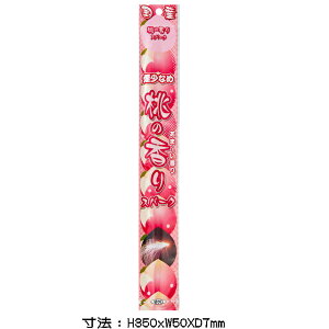 yPiԉ΁zy莝ԉ΁zȂ߁@̍@莝Xp[N