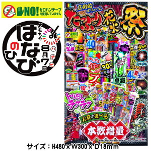 y莝ԉ΃Zbg iizuLLTCYՂԉ΍Ձvԉ 莝 ̑ ii qԉ [ čՂ