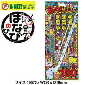 ■花火【手持ち花火セット】「変色ながいぞ（L)」　子供会　景品　花火　稲垣屋はなびキャンプ　アウトドア