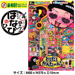 y莝 ԉ΃Zbg zun[g@n[gKltvԉΌ ԉ 莝 ̑ ii qԉ [ čՂ