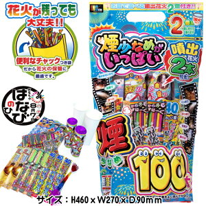 y莝ԉ΃Zbg zi`bN^CvjȂ߂ς100{ƕo2{vԉ 莝 ̑ ii qԉ [ čՂ