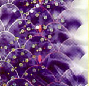 Pîڂ@̃XpR[@1m@̂ڂ@