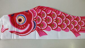 yPîڂzeTCY 0.8m`5m̂ڂ/