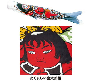 yPîڂzYāEČeTCY@0.8m`8m/̂ڂ/