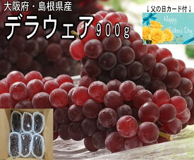デラウェア 900g 大阪 島根 父の日 人気 ブドウ フルーツ 甘い ぶどう ギフト 父 種なし 送料無料