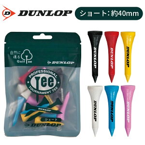 _bv eB | V[g eB[ GGF-02604 St 2025Nf DUNLOP St eB[ tee lR|X