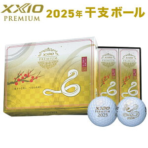 _bv [NVI v~A St {[ 1_[X(12) 2025Nx{[  XXIO PREMIUM DUNLOP Ry v[g