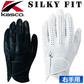 Kasco [キャスコ] SILKY FIT [シルキーフィット] メンズ ゴルフ グローブ GF-17251R 【レギュラーサイズ/右手用】