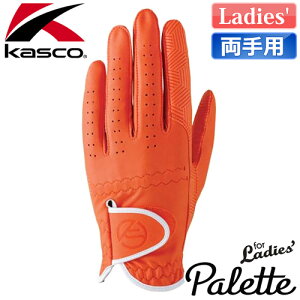 Kasco [LXR] Palette [pbg] fB[X St O[u SF-2014LW ypz IW