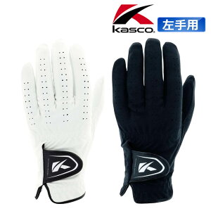 LXR DNA SUEDE O[u p Y SF-2010 XG[hv Stpi Kasco