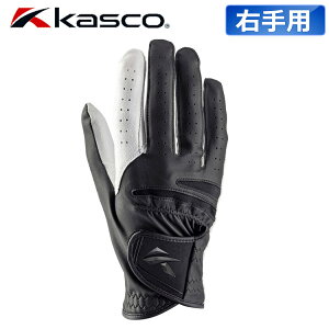 LXR imX^bh O[u Y Ep SF-2518R ubN×zCg NANO STUD St 2025Nf Kasco