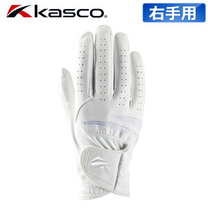 LXR imX^bh O[u Y Ep SF-2518R zCg NANO STUD St 2025Nf Kasco