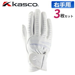 y[\z3Zbg LXR imX^bh O[u Y Ep SF-2518R zCg NANO STUD St 2025Nf Kasco