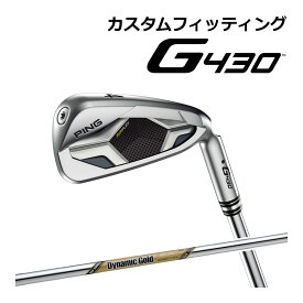 【カスタムフィッティング】 PING [ピン] G430 アイアン 6本セット (I6～9、PW、45) 右用 Dynamic Gold EX TOUR ISSUE スチールシャフト [G430 Iron][日本正規品]