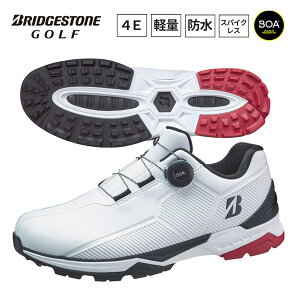 uaXg StV[Y Y [EXpCN oC^[ Ch SH2507 WK × 4E XpCNX {A _C 2025Nf BRIDGESTONE GOLF