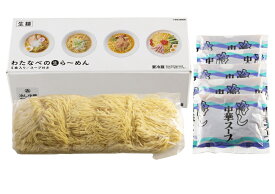 冷し中華 夏季限定 つけ麺 5人前 生麺 信州直送 夏 業務用