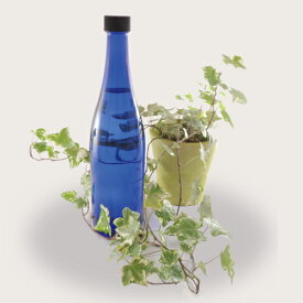 ブルーソーラーボトル【1本】 720ml ブルーソーラーウォーター 「ブルーボトル（青い瓶）を利用して作られた浄水」を作れる
