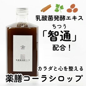 乳酸菌発酵コーラシロップ／クラフトコーラ 薬膳 保存料・香料・着色料・食品添加物不使用 バイオジェニックス