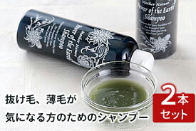 【2本セット】大地の力シャンプー 300ml（テンプルビューティフル・エドガーケイシー）【送料無料】