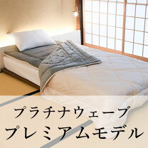 楽天市場】プラチナウェーブの通販