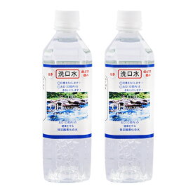 洗口水2本セット うがい ウイルス対策 喉 ケア 口臭 マウスウォッシュ 口腔 ウイルス 風邪 対策 除菌 除菌水 キレイ 清潔 無添加 オーガニック 子供 家族で使える 家族 塩 水 食塩水 さっぱり マイルド 低刺激 苦くない 500ml