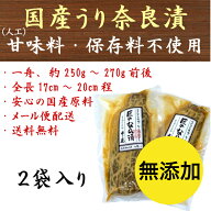 【ランキング1位受賞】奈良漬 国産 無添加 大サイズ 250g〜270g前後×2舟入 なら漬 奈良漬け 瓜 人工甘味…
