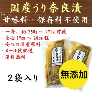 yLO1ʎ܁zޗǒ Y Y TCY 250g`270gO×2M Ȃ ޗǒЂ Z lHÖۑsgp yp̉N̓ 