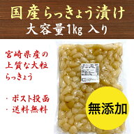 【ランキング1位受賞】らっきょう 1kg 国産 無添加 甘酢漬 送料無料 九州産 宮崎 漬物 大容量 業務用 ら…